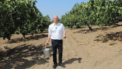 Avrupa Birliği’nden coğrafi işaret tescili alan Bursa siyah incirinin hasadına