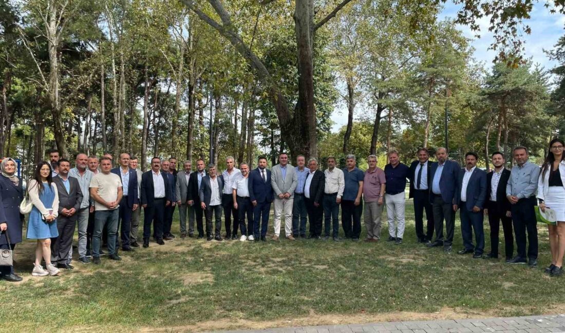 BURSA’NIN TARIM POTANSİYELİNİ EN VERİMLİ ŞEKİLDE DEĞERLENDİRMEK, MEVCUT SORUNLARI TESPİT