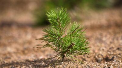 Şirketin elektronik fatura uygulaması, her yıl 30 ton kağıt tasarrufu