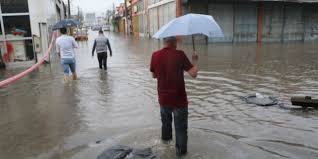 Meteoroloji Genel Müdürlüğü uyardı; Yağışlı havalar geliyor. Meteoroloji Genel Müdürlüğü,