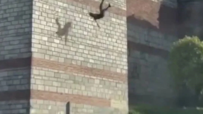 İstanbul Fatih’te 2 genç kızın kafasını kesen şahıs, daha sonrasında