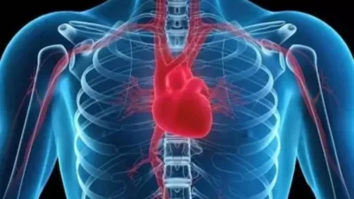 Kalp hastalıkları çoğu kişinin korkulu rüyası. Özellikle son on yılda