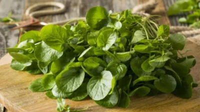 Dünyanın en besleyici sebzesi belirlendi! Besin değeri ve sağlık üzerindeki