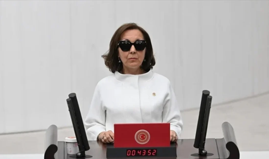 Gelecek Partisi’nin kurucularından ve CHP listesinden milletvekili seçilen Serap Yazıcı