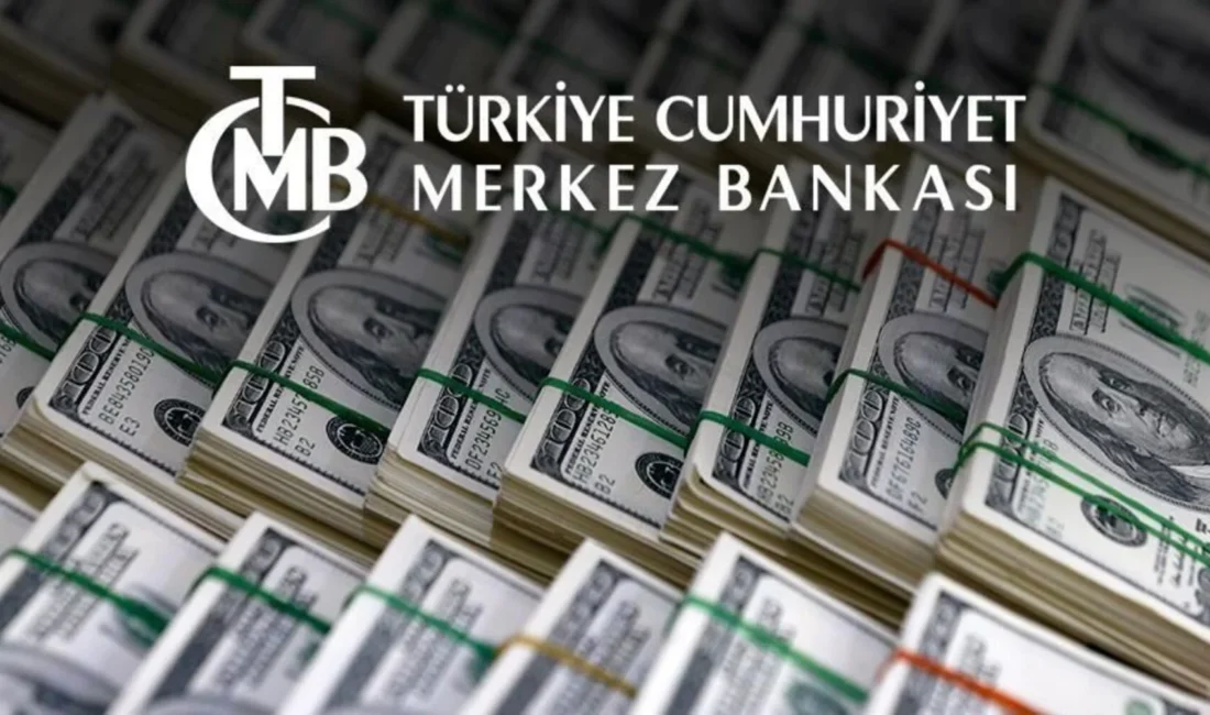 Türkiye Cumhuriyeti Merkez Bankasının (TCMB) brüt döviz rezervleri 100,6 milyar