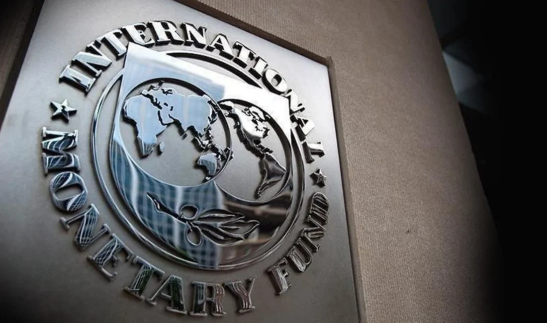 IMF Avrupa Departmanı Direktörü Alfred Kammer, Türkiye’nin 2024 büyüme tahmininin
