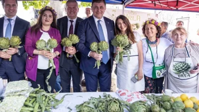 İzmir Büyükşehir Belediyesi, Urla Kaymakamlığı, Urla Belediyesi, İzmir Ticaret Odası,