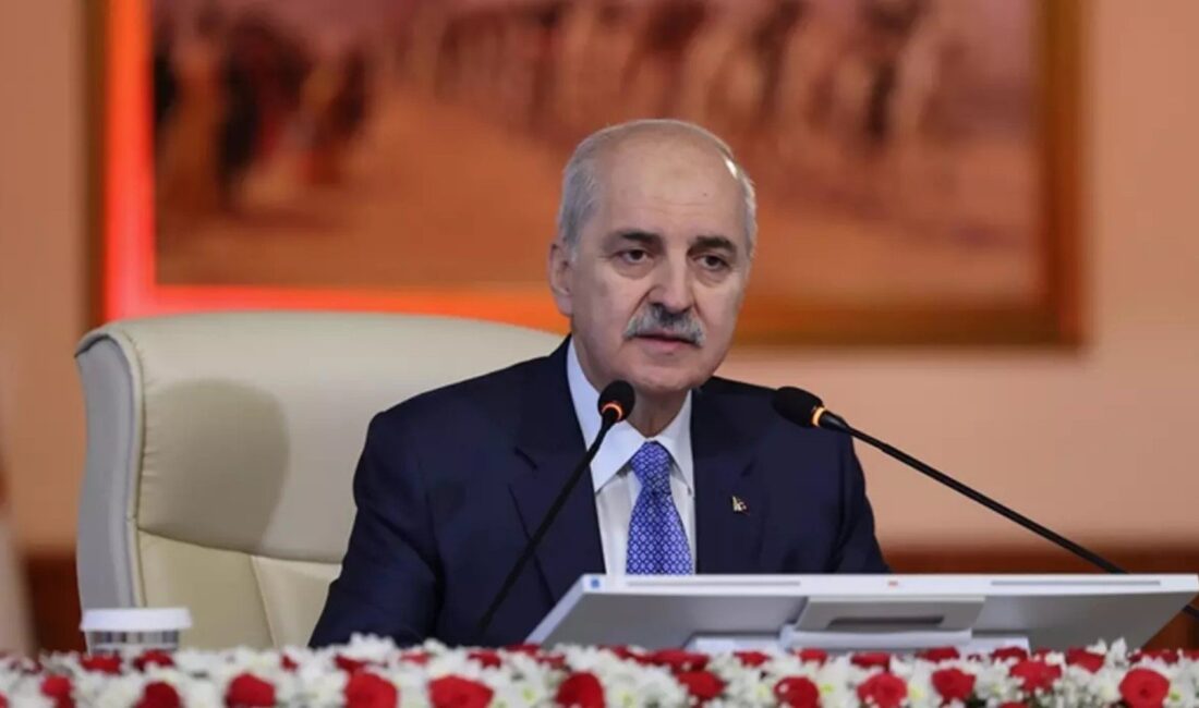 Meclis’te kurulan Milli Dayanışma, Kardeşlik ve Demokrasi Komisyonu’nun tutanakları TBMM