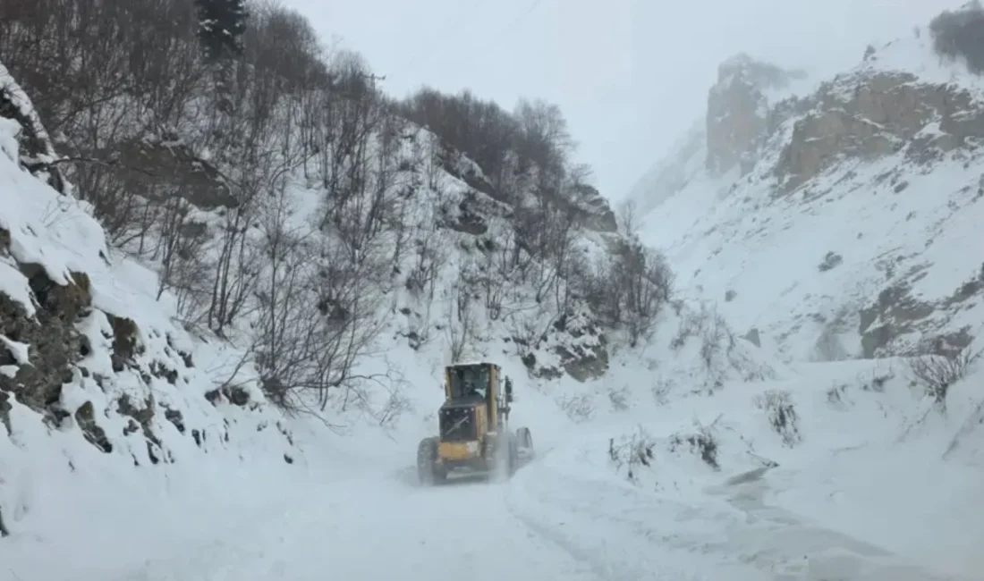 Artvin’in Ardanuç ilçesindeki Zekeriya Köyü’nde çığ düşerken, çığ altında çobanların