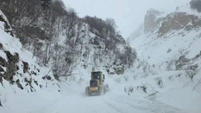 Artvin’in Ardanuç ilçesindeki Zekeriya Köyü’nde çığ düşerken, çığ altında çobanların
