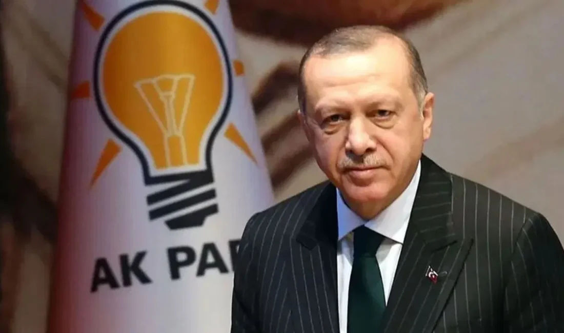 AKP Genel Başkanı ve Cumhurbaşkanı Recep Tayyip Erdoğan, Türkiye ve