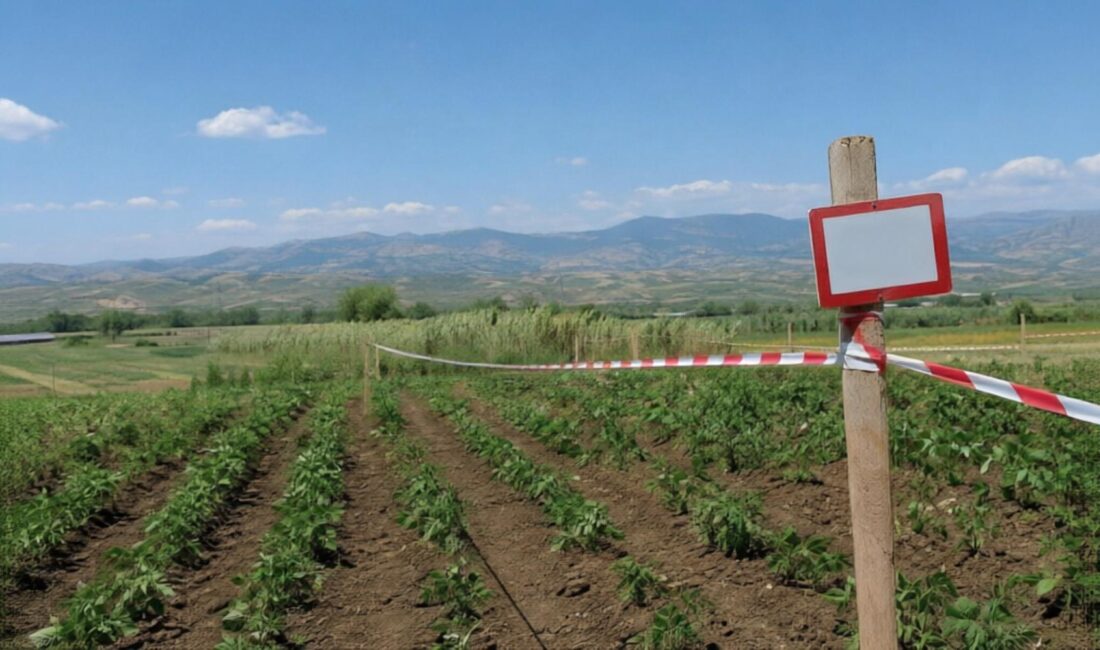 Yeni düzenleme, tarım arazilerindeki izinsiz yapılaşma ve hobi bahçesi uygulamalarını