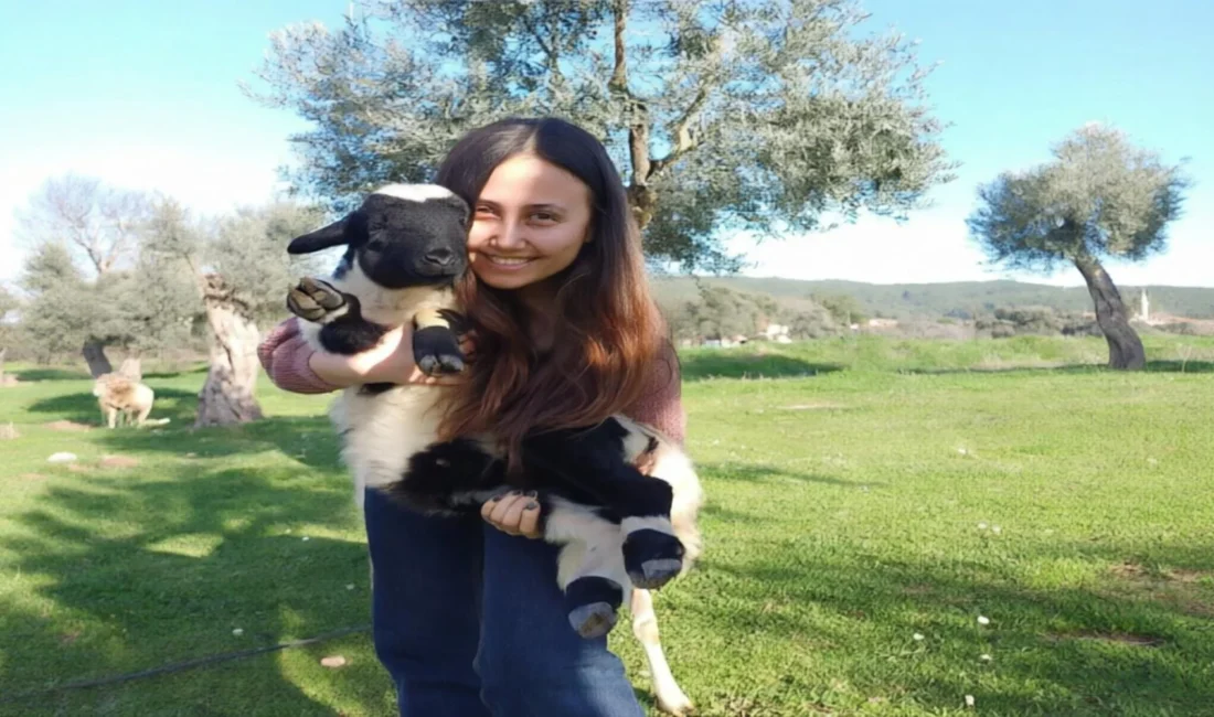 Uluslararası Af Örgütü, Esra Işık’a yöneltilen suçlamaların düşürülmesi için Milas