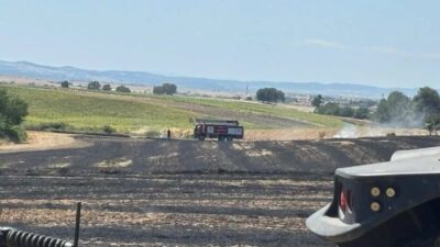 Edirne'nin İpsala ilçesine bağlı Aliçopehlivan Köyü'nde çıkan yangında yaklaşık 50