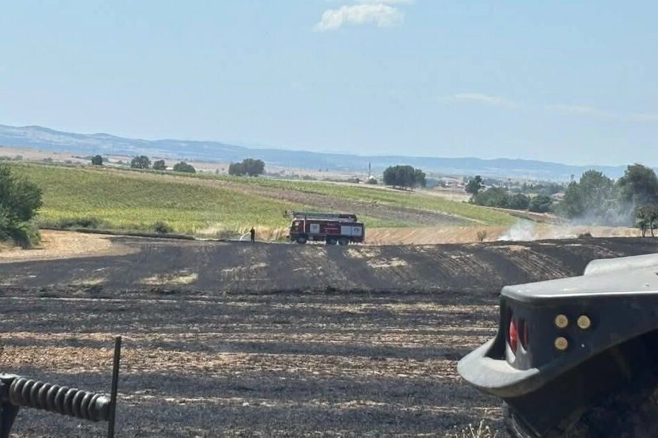 Edirne'nin İpsala ilçesine bağlı Aliçopehlivan Köyü'nde çıkan yangında yaklaşık 50