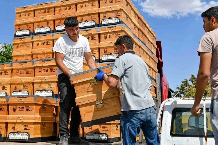 Ankara Büyükşehir Belediyesi, kırsal kalkınmayı desteklemek ve teknik arıcılığı yaygınlaştırmak