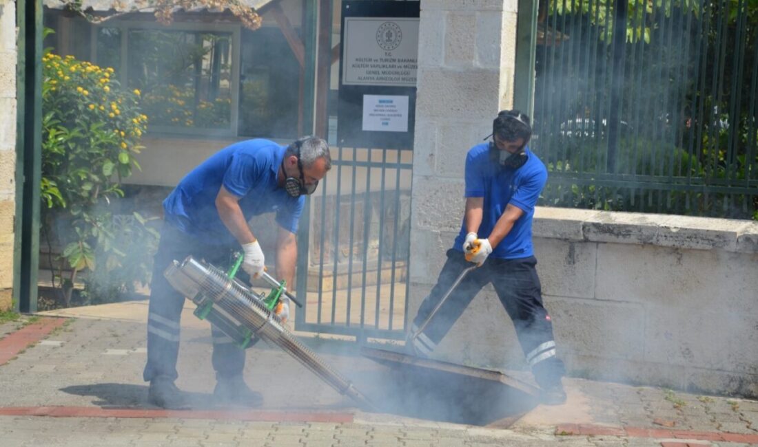 Antalya Büyükşehir Belediyesi, Çevre Koruma ve Kontrol Dairesi Başkanlığı, ekipleri