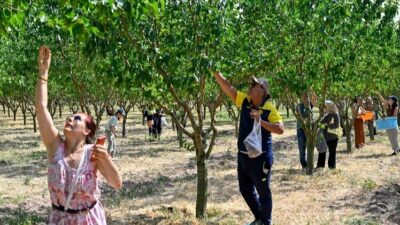 Ankara Büyükşehir Belediyesi tarafından ATA Çiftliği’nde düzenlenen Hasat Şenliği, Başkentlileri