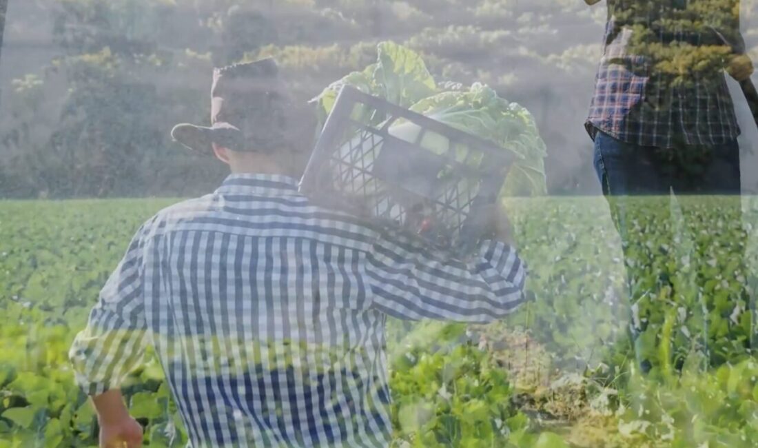 Tarım ve Orman Bakanı İbrahim Yumaklı, Bayburt'ta hayata geçirilecek Kırklartepe