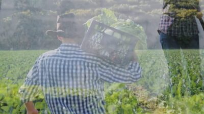 Tarım ve Orman Bakanı İbrahim Yumaklı, Bayburt'ta hayata geçirilecek Kırklartepe