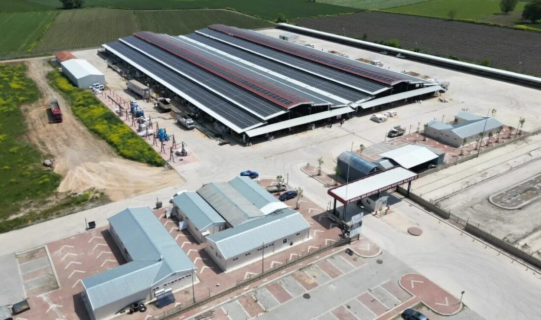 Bursa'da İnegöl’de bir mahallede görülen şap hastalığı vakası nedeniyle İlçe