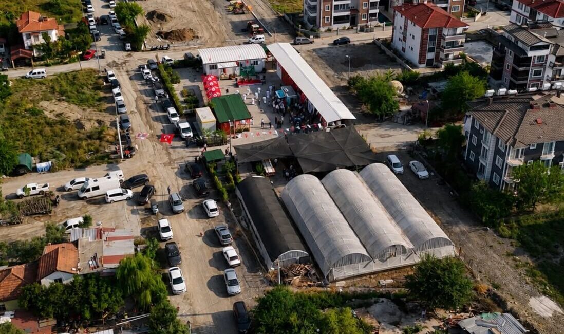 Dalaman Belediyesi tarafından geçtiğimiz nisan ayında düzenlenen fide dağıtım programında