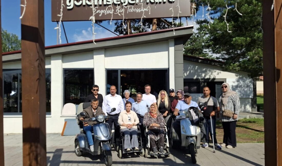 Erzurum Büyükşehir Belediyesi Kent Konseyi Engelli Meclisi, engelli bireylerin yaşadığı