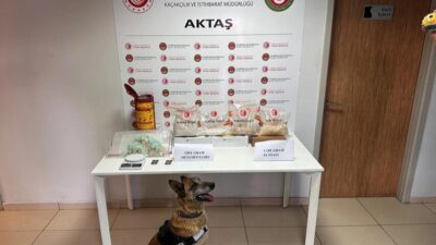 Ticaret Bakanlığı, Gümrükler Muhafaza ekiplerinin 2026 yılının ilk 6 ayında