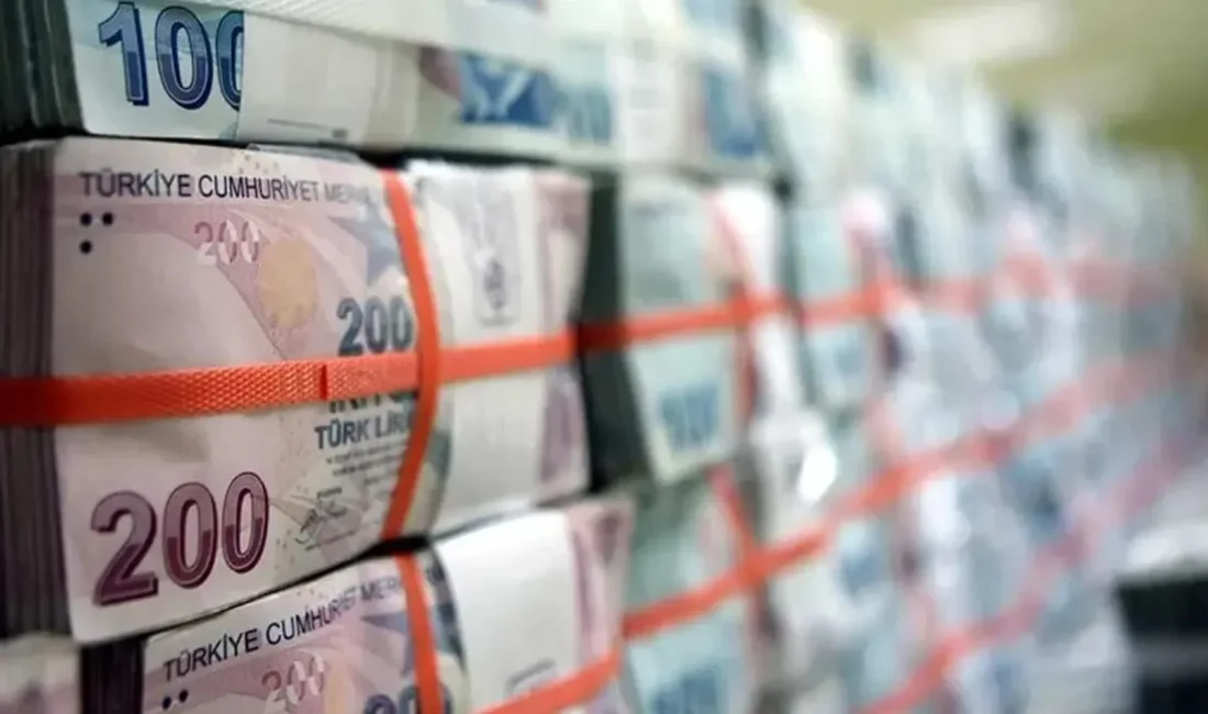 BDDK verilerine göre, Türk Lirası’nın toplam mevduatlar içindeki payı yüzde