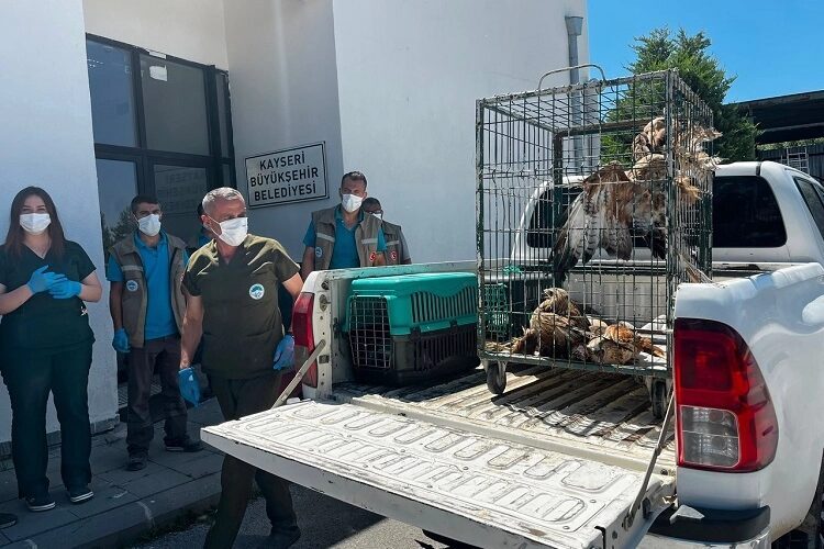 Kayseri Büyükşehir Belediyesi Veteriner İşleri Daire Başkanlığı bünyesindeki Anadolu Harikalar