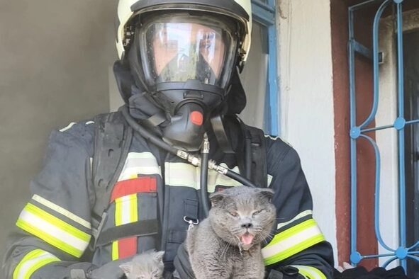 Kayseri Büyükşehir Belediyesi İtfaiye Daire Başkanlığı ekipleri, Kocasinan ilçesi Kayabaşı