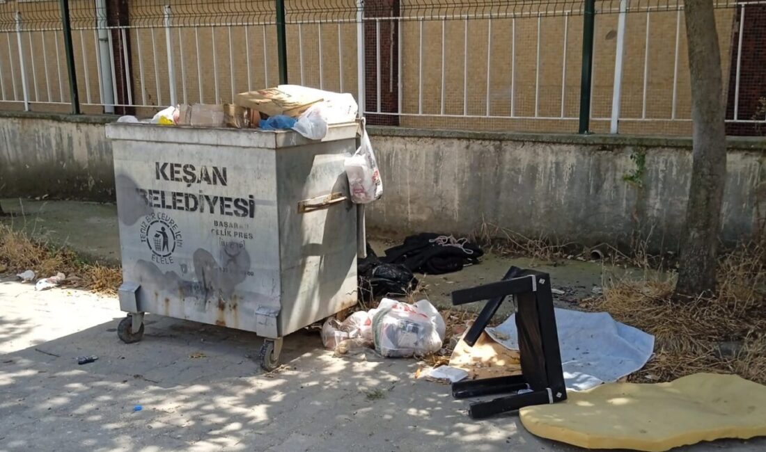 Edirne'nin Keşan ilçesinde otların temizlenmemesi ve çöp konteynerlerinin zamanında boşaltılmaması