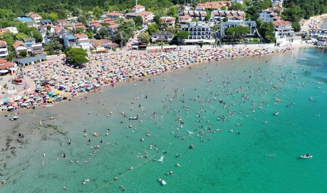 Kocaeli Büyükşehir Belediyesi bünyesinde görev yapan KOSKEM ekipleri, 13-19 Temmuz