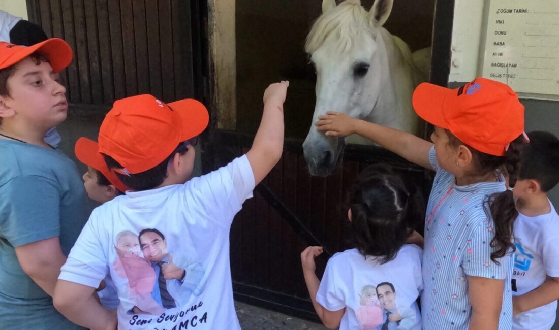 Lösemili Çocuklar Sağlık ve Eğitim Vakfı, 28 yıldır lösemi ve