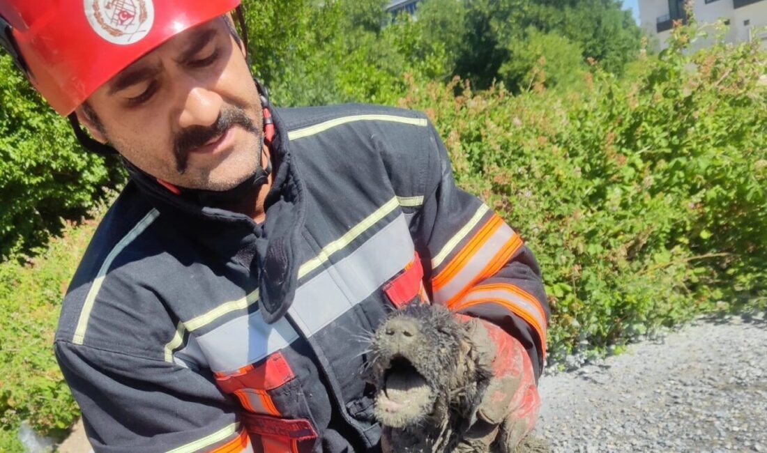 Malatya Büyükşehir Belediyesi İtfaiye Dairesi Başkanlığı ekipleri, başarılı bir kurtarma
