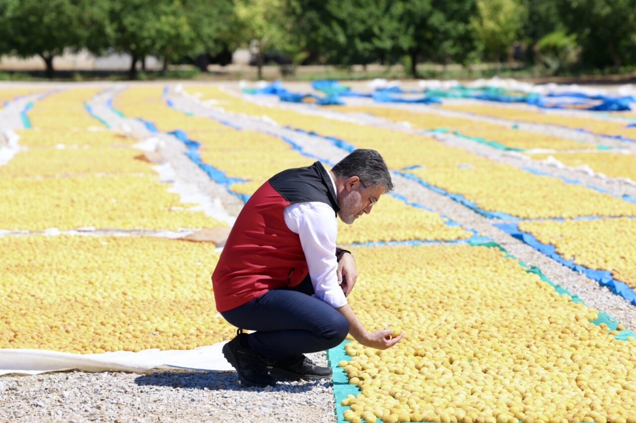 Tarım ve Orman Bakanı İbrahim Yumaklı, geçen yıl zirai dondan