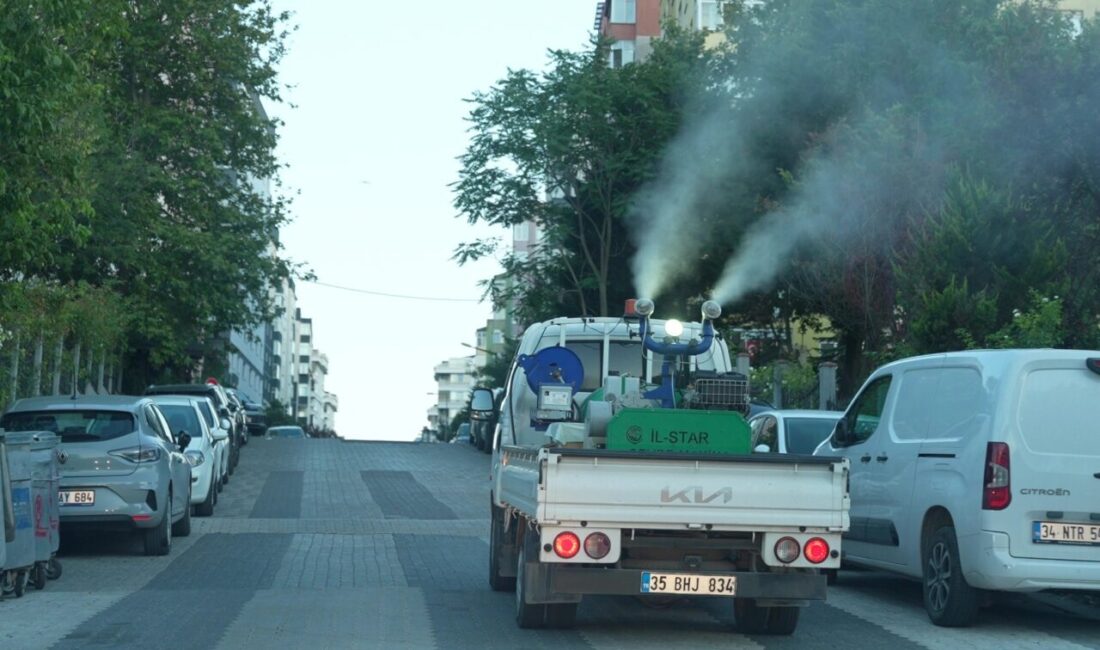 İstanbul'da Maltepe Belediyesi, yaz aylarında artış gösteren sivrisinek ve karasinek