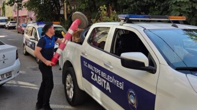 İstanbul'un Maltepe ilçesinde kamusal alanlar yeniden yayaların kullanımına açıldı, kaldırımları