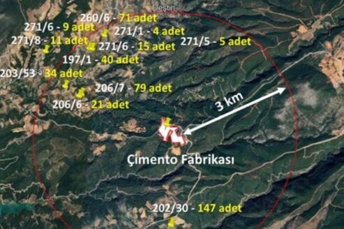 Muğla Büyükşehir Belediyesi, Bayır-Deştin Çimento Fabrikası Projesi için hazırlanan bilirkişi