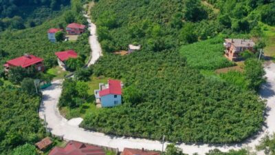 Ordu Büyükşehir Belediyesi, kırsal mahallelerde ulaşım konforunu artırmaya yönelik yatırımlarına