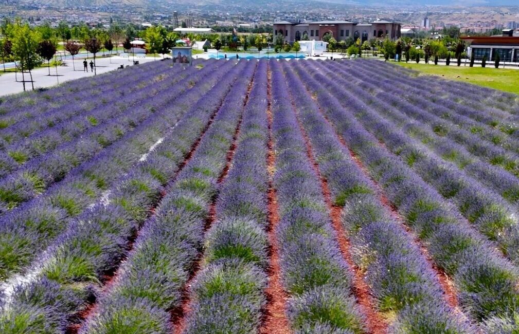 Kayseri Büyükşehir Belediyesi tarafından Recep Tayyip Erdoğan Millet Bahçesi'nde oluşturulan