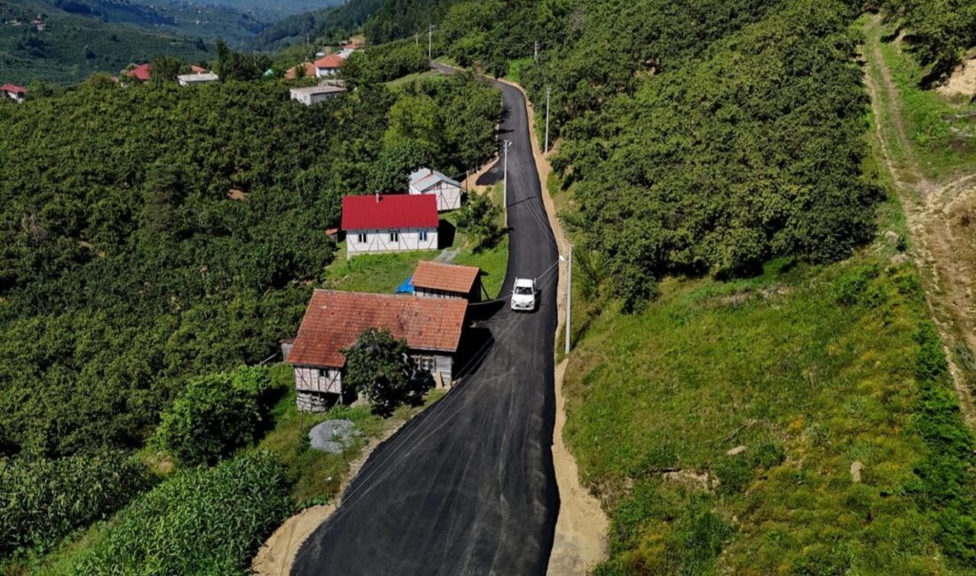Sakarya'nın Kocaali ilçesinde fındık hasadının yoğun olduğu Yanıksayvant, Karapelit ve
