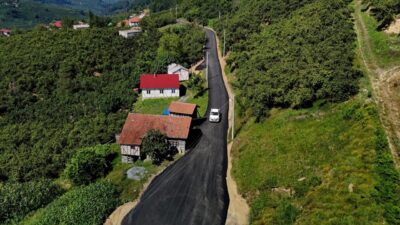 Sakarya'nın Kocaali ilçesinde fındık hasadının yoğun olduğu Yanıksayvant, Karapelit ve