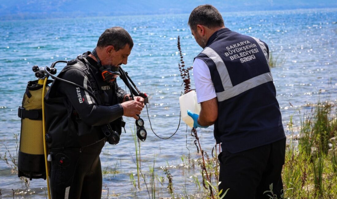 Geçtiğimiz günlerde Sapanca Gölü’nün yaklaşık olarak 2 metre kadar derinlerinde