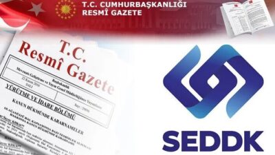 Resmi Gazete'de yayımlanan yönetmelik değişikliğiyle, sigortacılık destek hizmetlerinde faaliyet gösteren