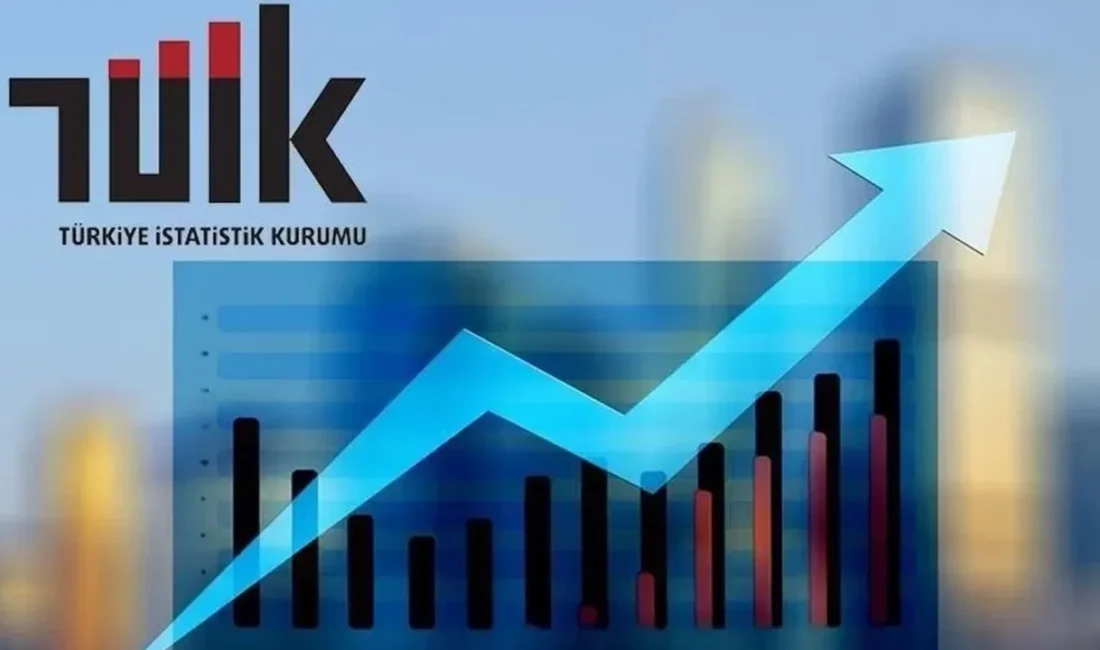 TÜİK Haziran enflasyonunu açıkladı Türkiye İstatistik Kurumu (TÜİK), geniş bir