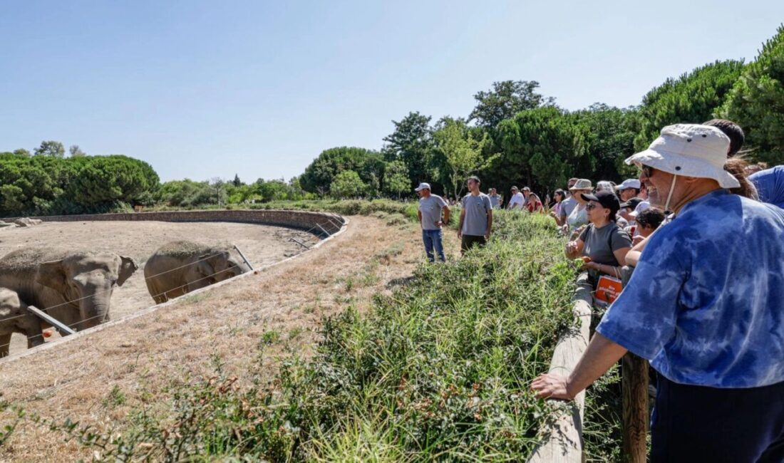 İzmir Büyükşehir Belediyesi'nin Sasalı Doğal Yaşam Parkı'nda düzenlediği gezi programında