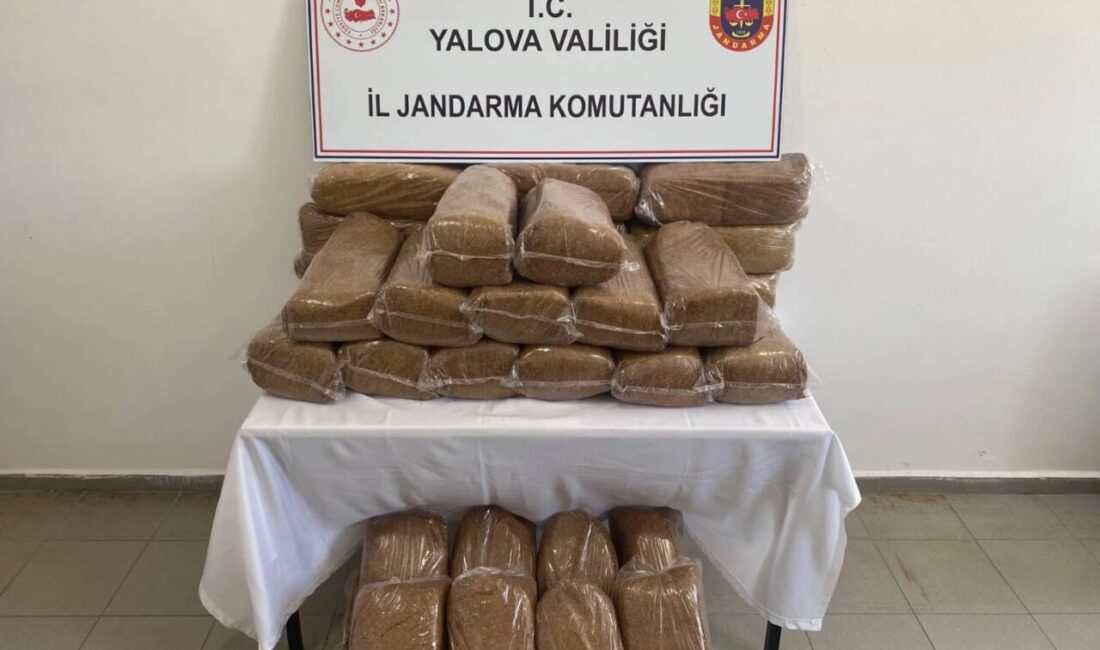 Yalova İl Jandarma Komutanlığı ekiplerince kaçakçılıkla mücadele kapsamında düzenlenen operasyonda