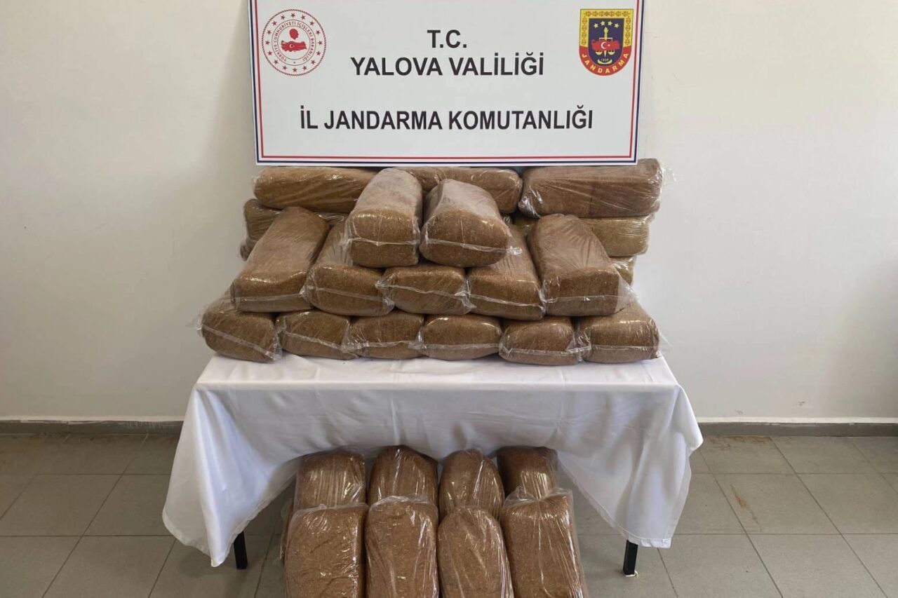Yalova İl Jandarma Komutanlığı ekiplerince kaçakçılıkla mücadele kapsamında düzenlenen operasyonda