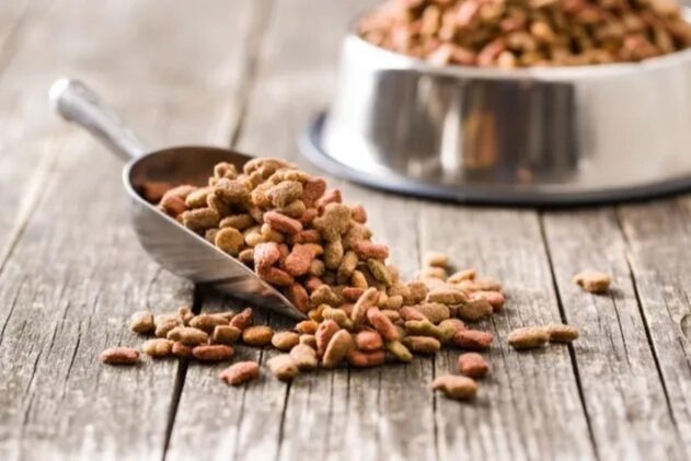Yeni bir bilimsel inceleme, besin açısından dengeli vegan köpek maması,